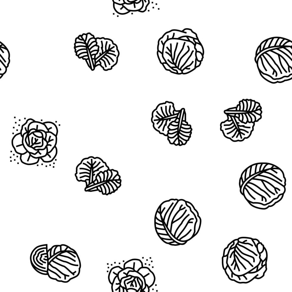 Cabbage Natural Vitamin Food vector seamless pattern