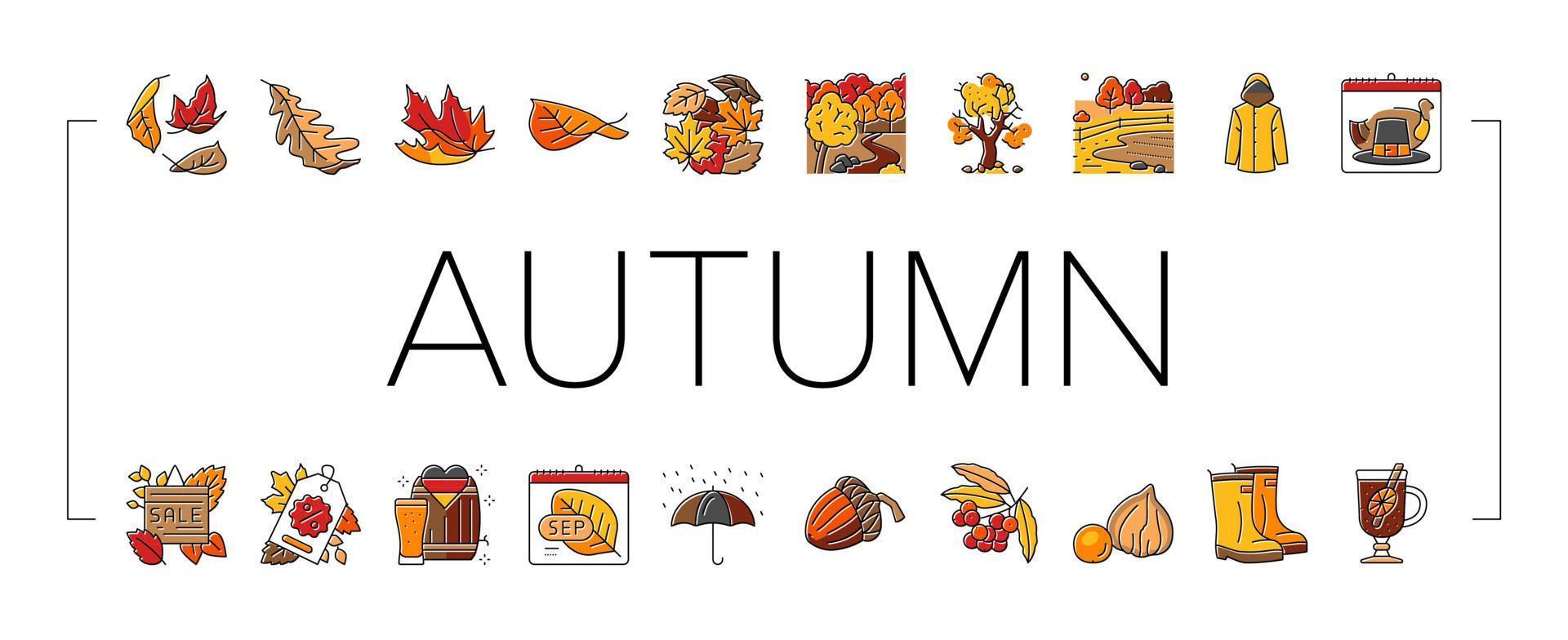 autumn fall leaf nature season icons set vector