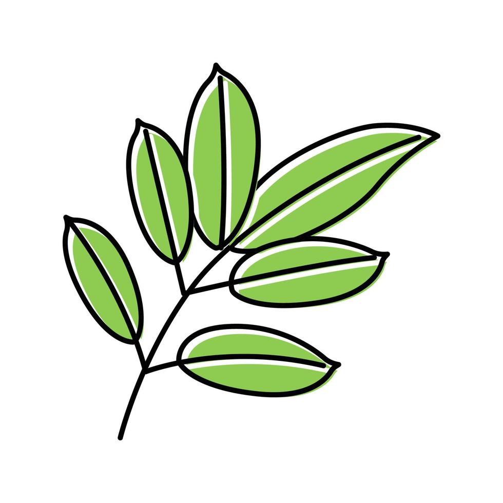 mahogany leaf color icon vector illustration