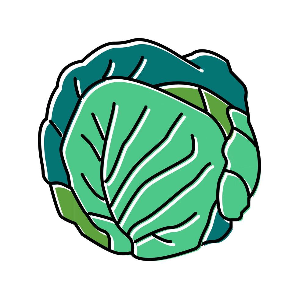 green cabbage color icon vector illustration