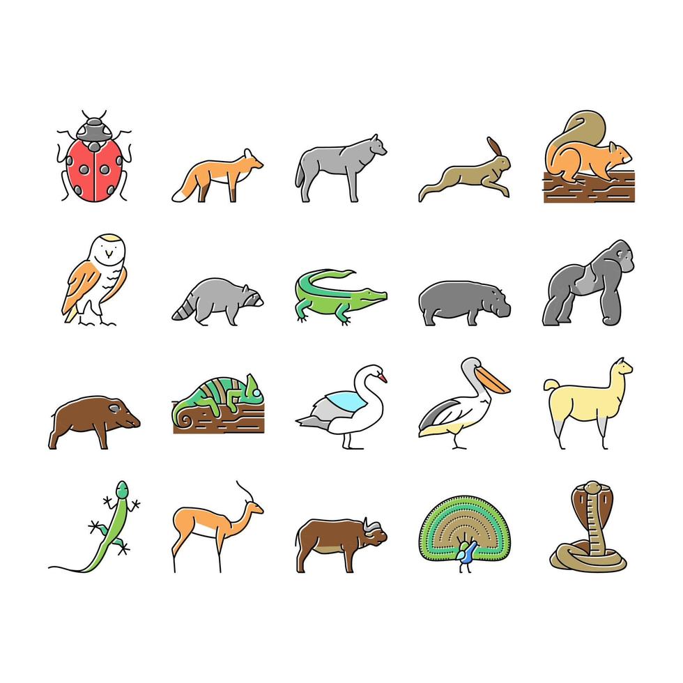 animales salvajes, insectos y pájaros iconos conjunto vector