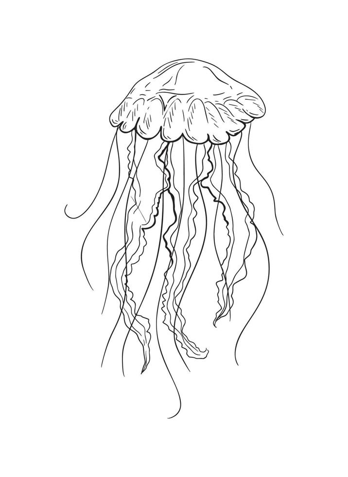 ilustración de medusas en estilo de tinta de arte vector
