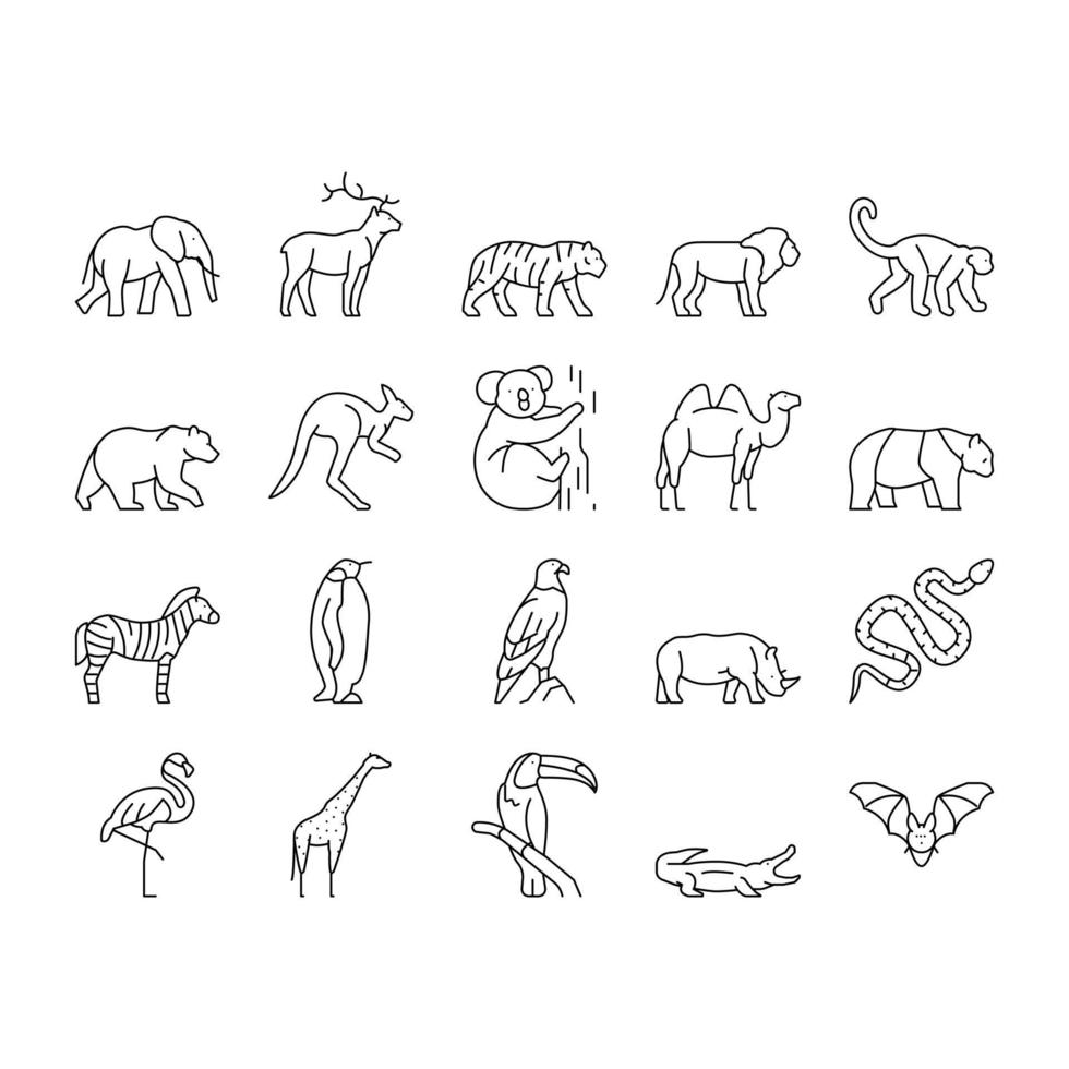 animales del zoológico, pájaros y serpientes iconos conjunto vector