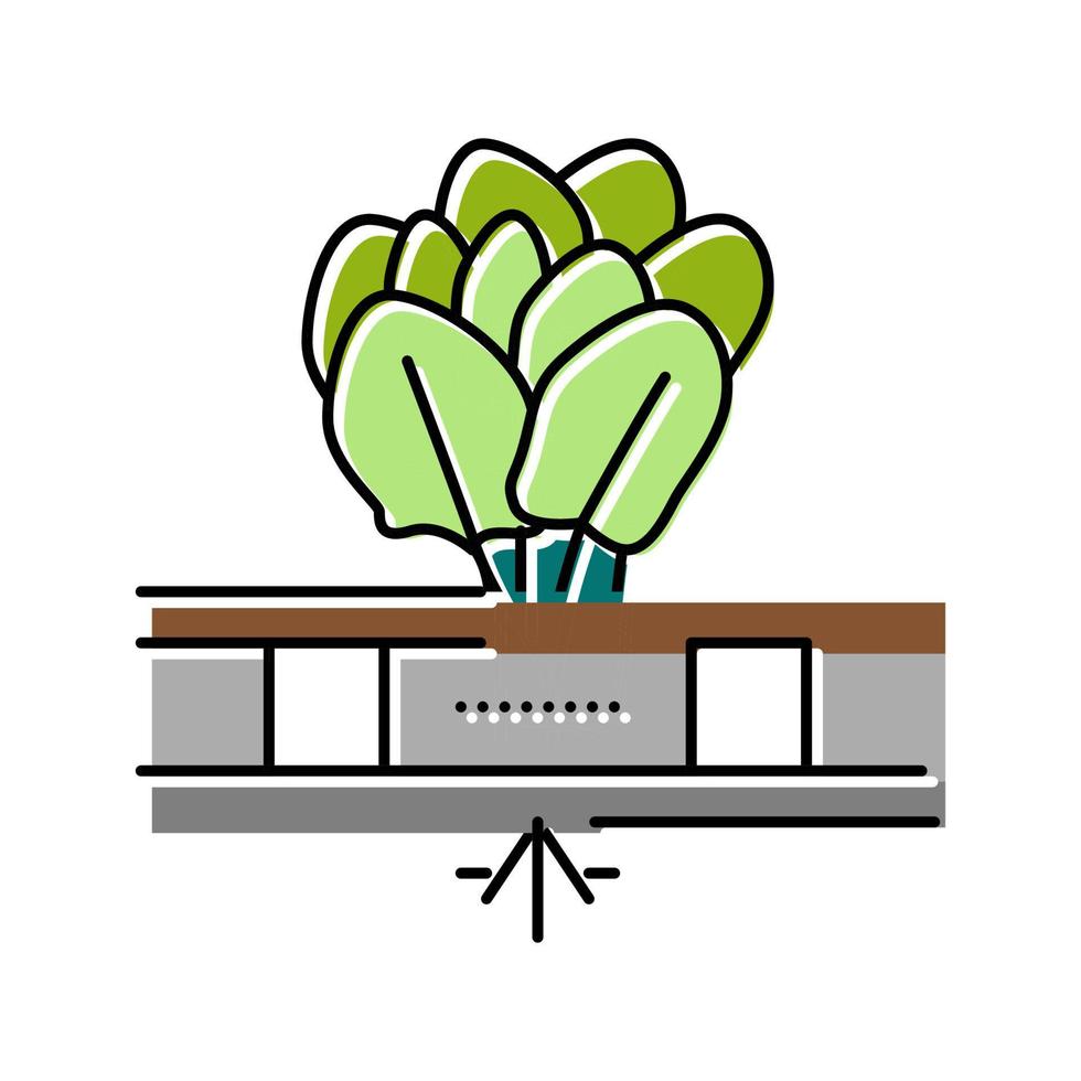 Ilustración de vector de icono de color de riego de agua de hidroponía vegetal