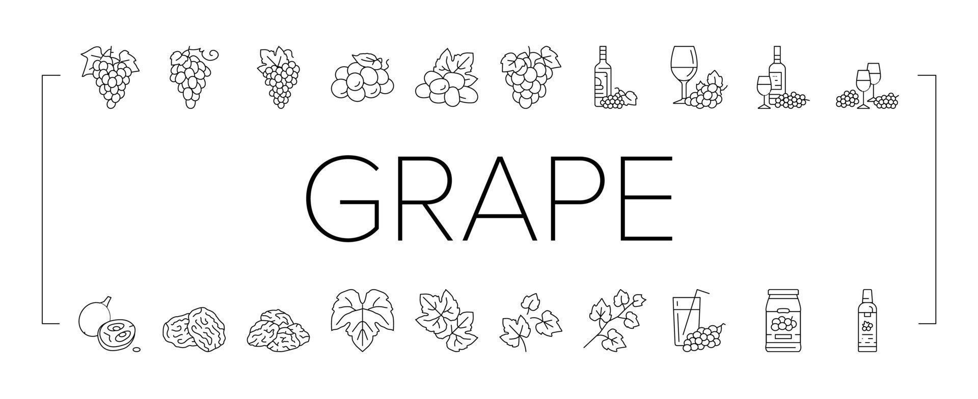 grape wine bunch fruit green icons set vector