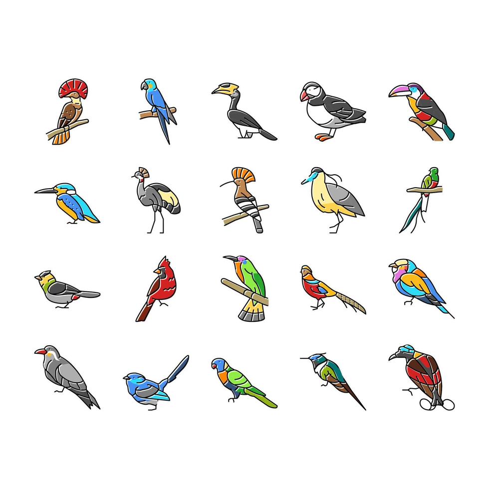 bird exotic animal nature wild icons set vector