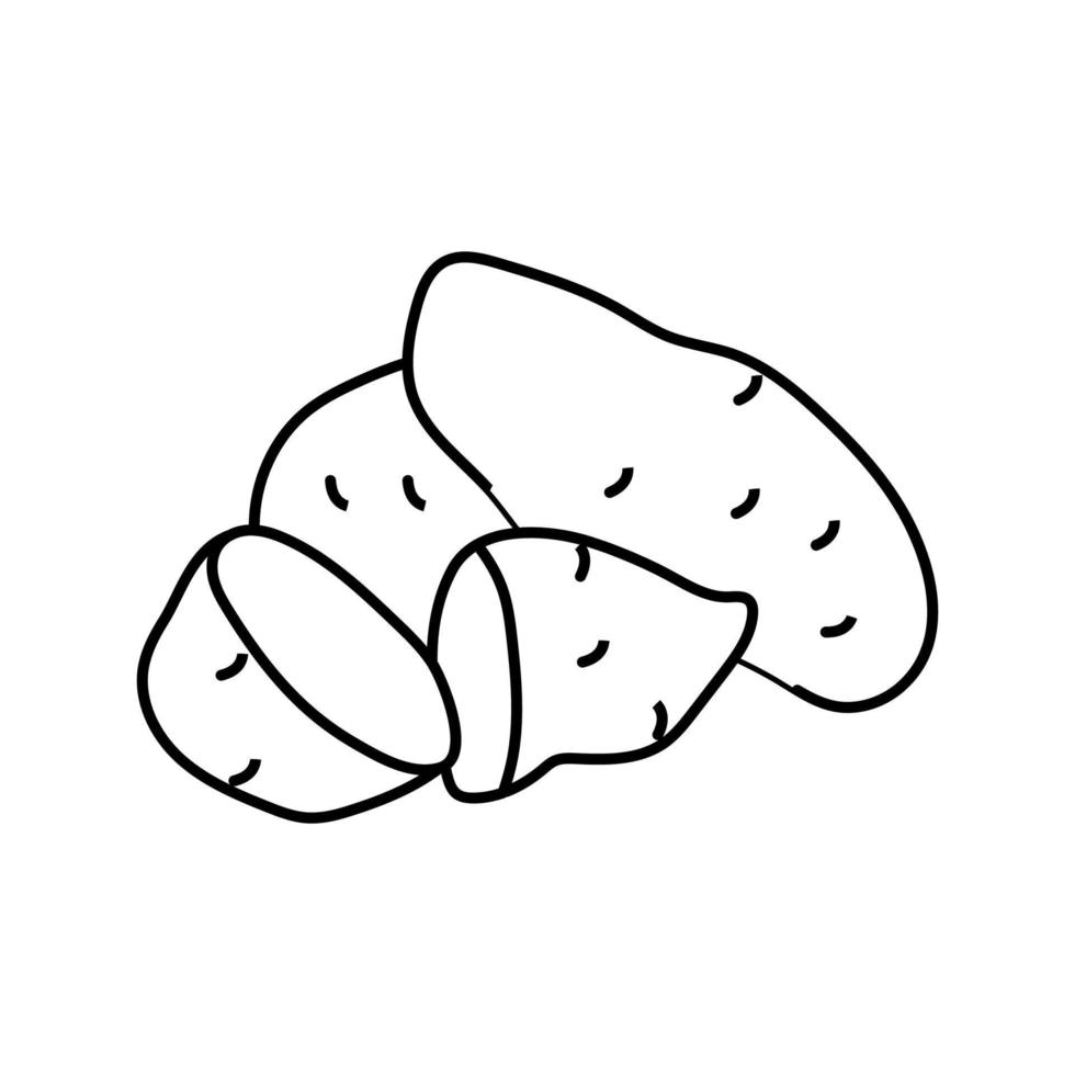 Ilustración de vector de icono de línea de corte dulce de patatas maduras