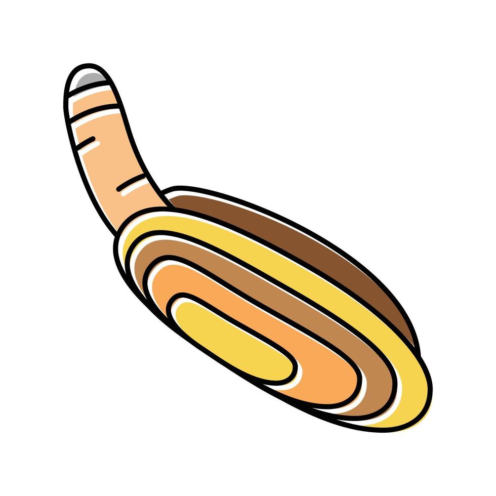 pacific razor clam color icon vector illustration