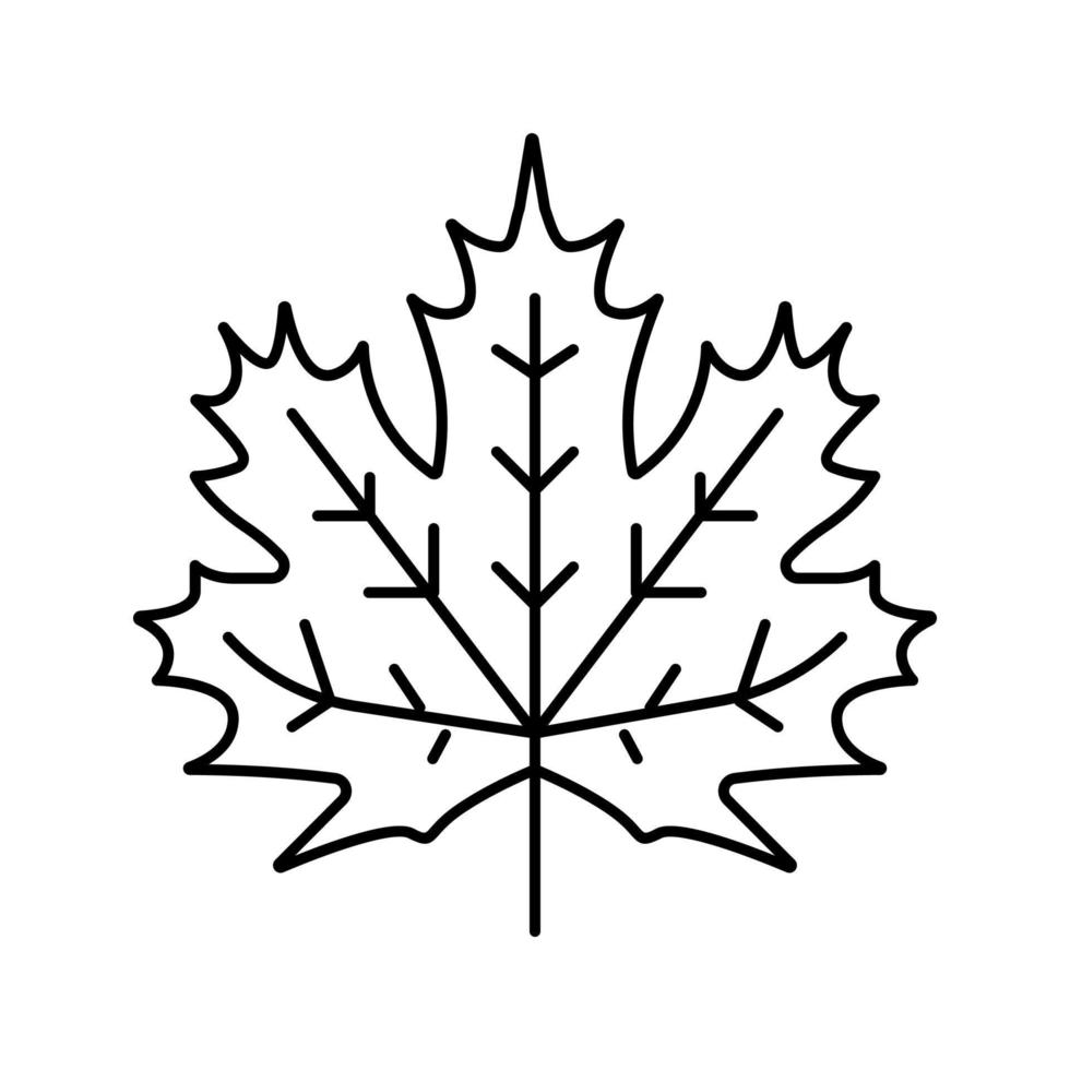 maple leaf line icon vector illustration