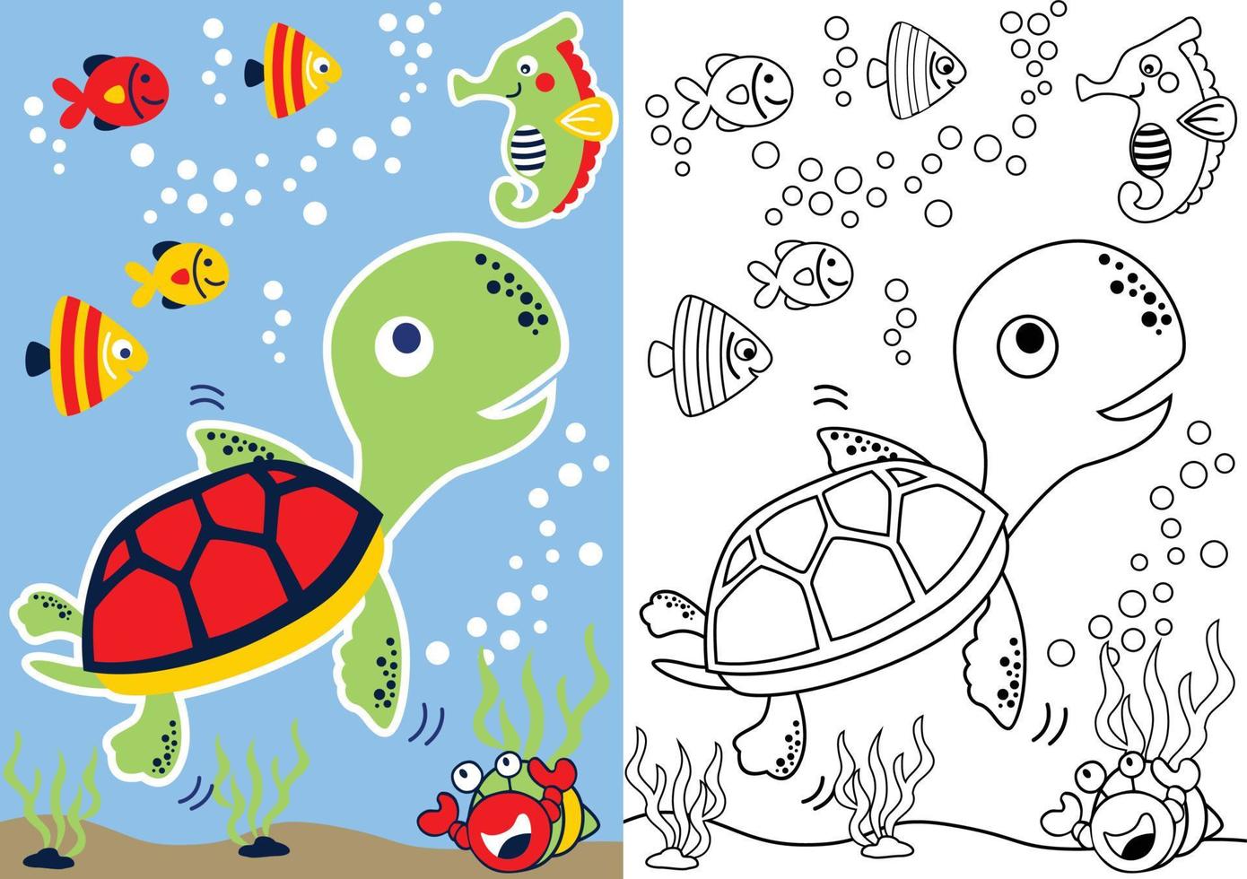 vector cartoon of turtle and friends underwater, coloring book or page