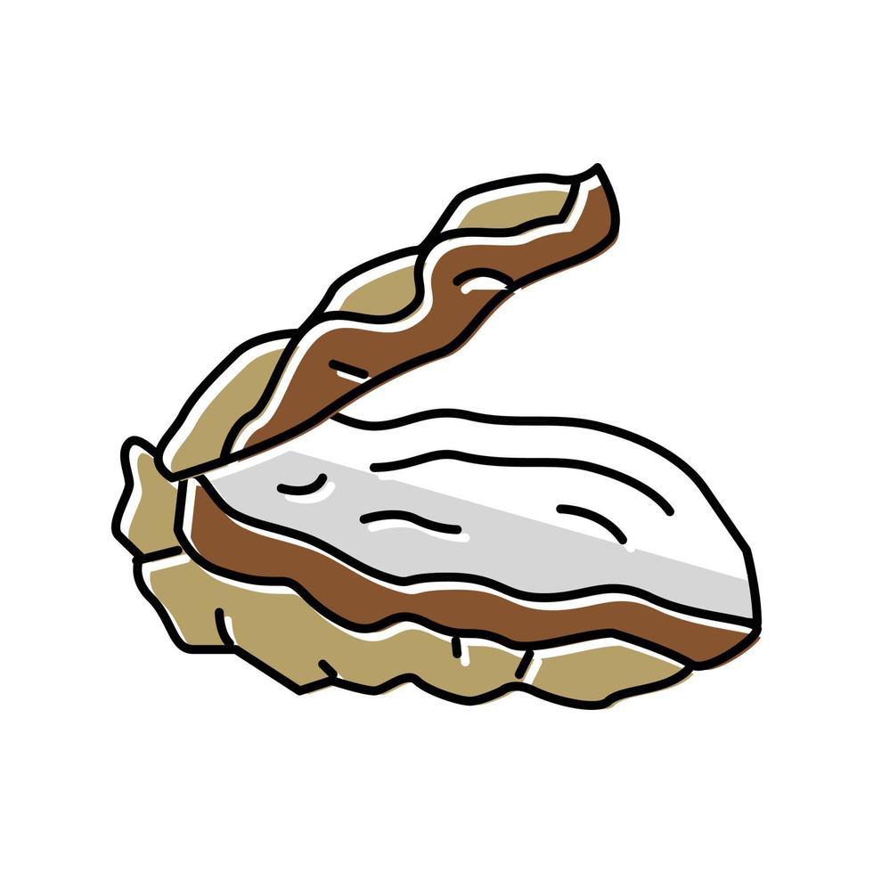 oyster opened shell color icon vector illustration