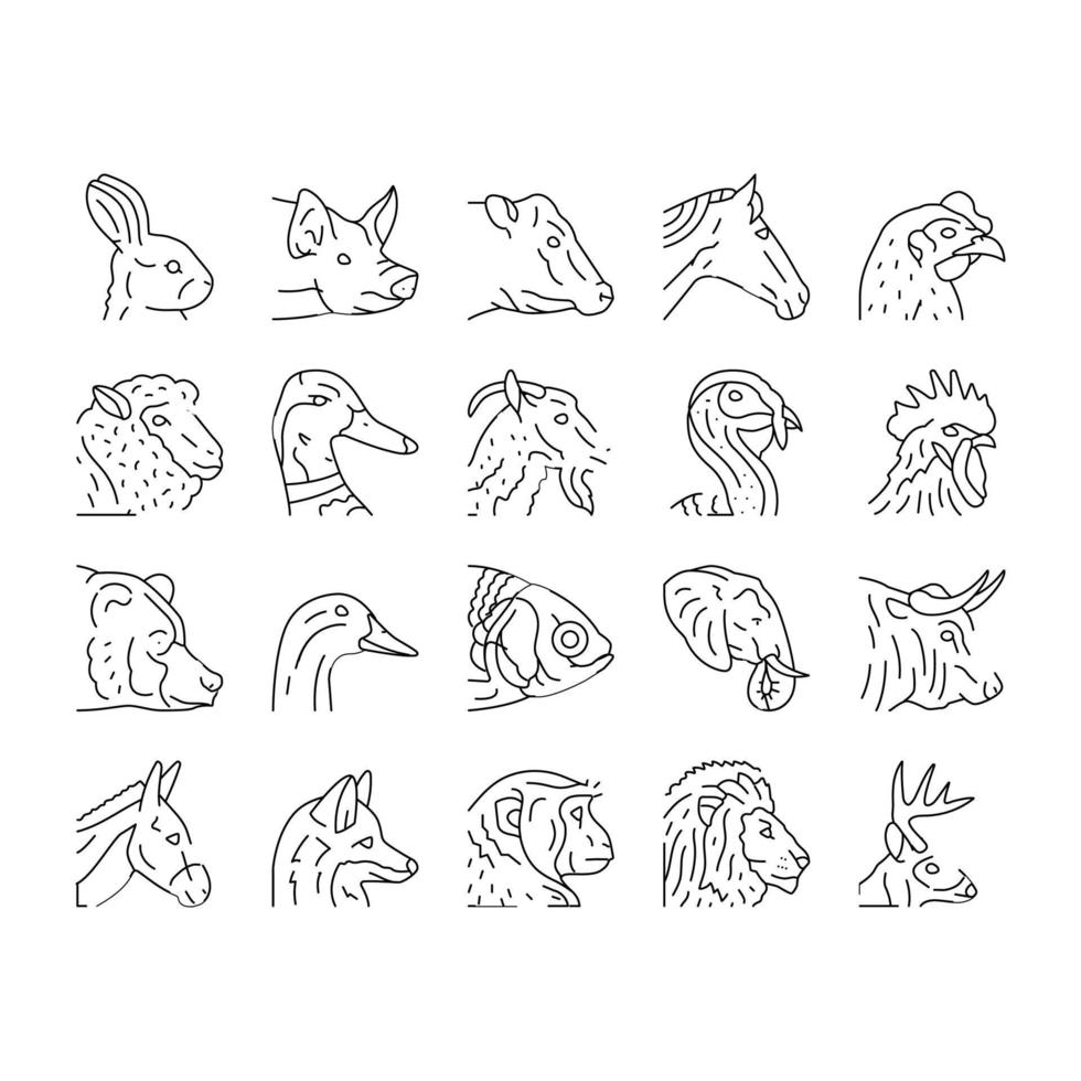 animal zoo nature wildlife icons set vector