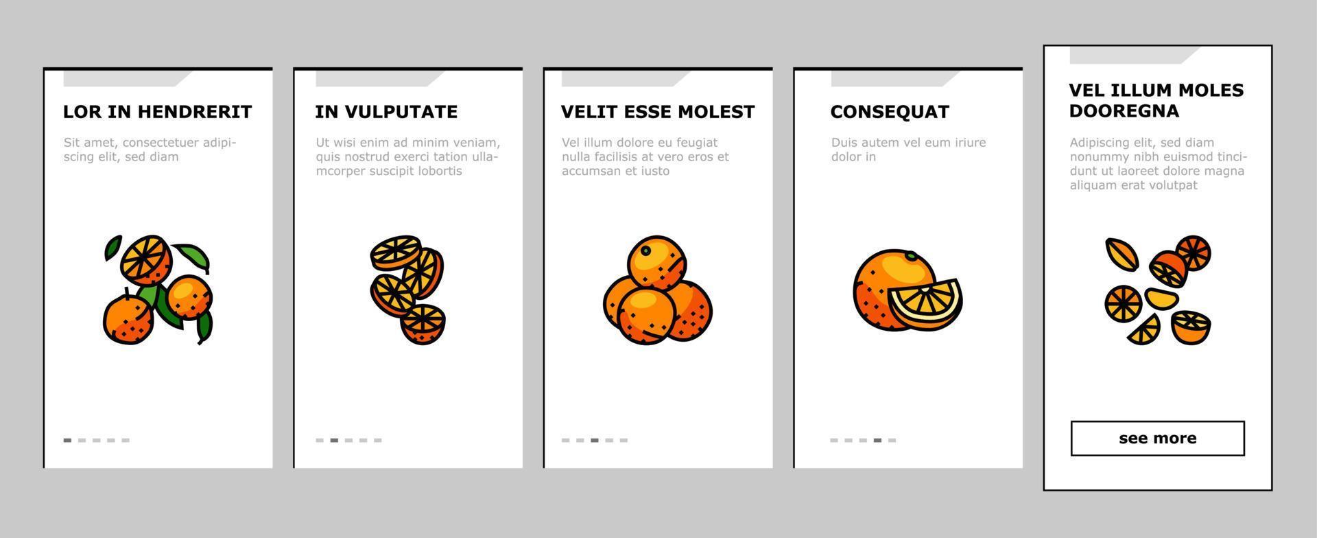 orange citrus fresh slice juice onboarding icons set vector