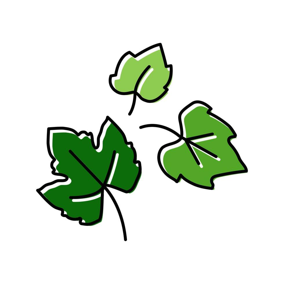 leaf grape green color icon vector illustration