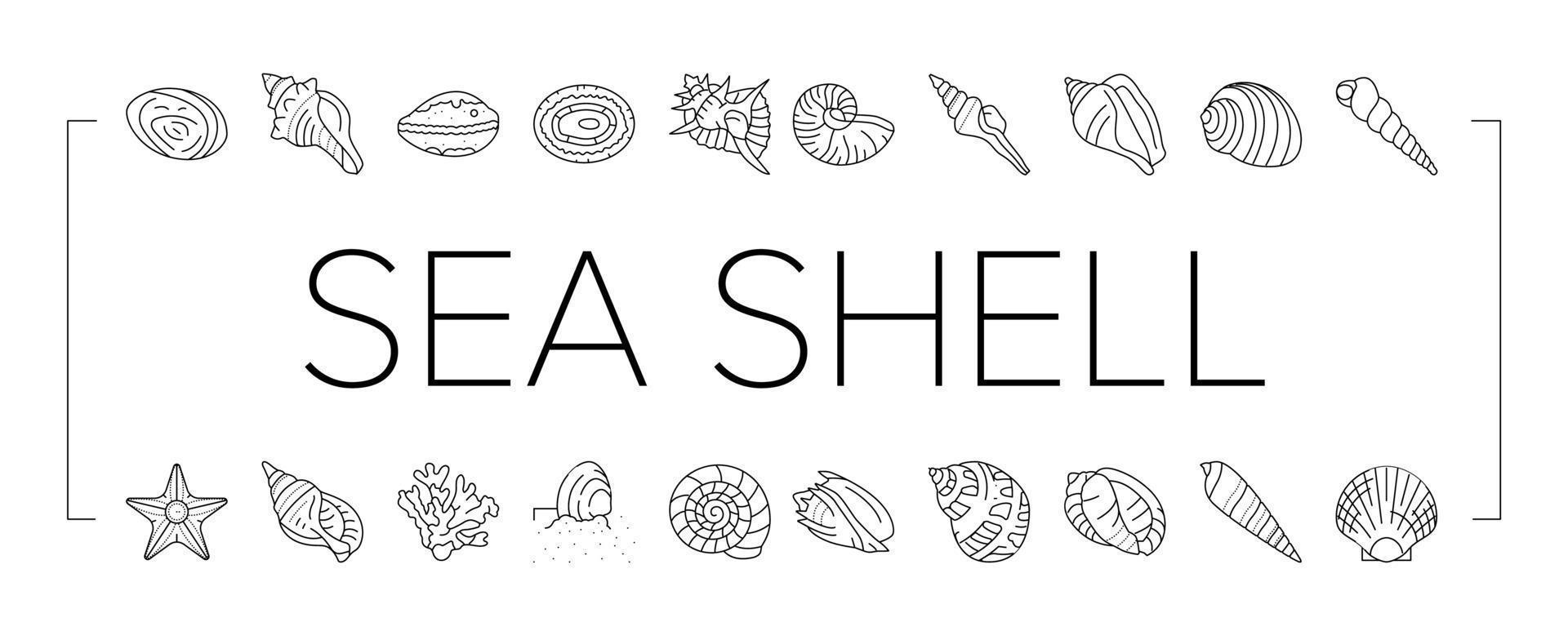 sea shell beach summer ocean icons set vector