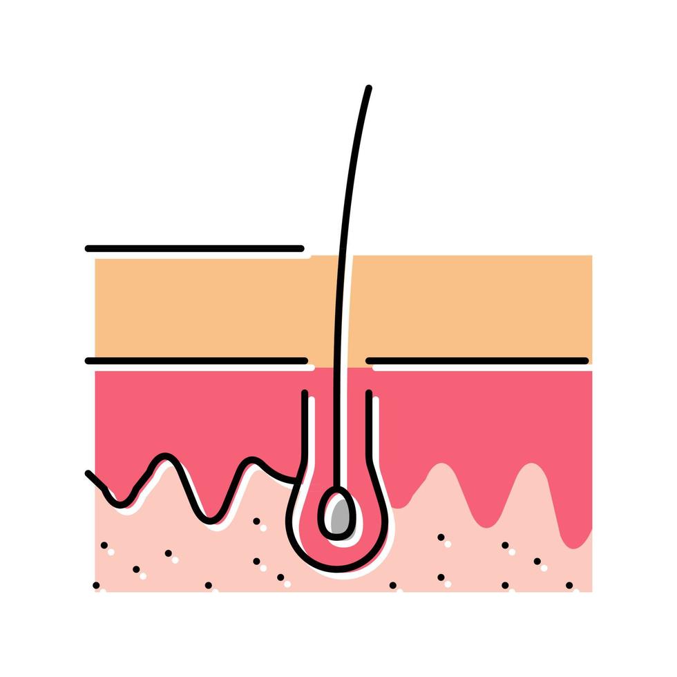 Ilustración de vector de icono de color de cabello en crecimiento saludable