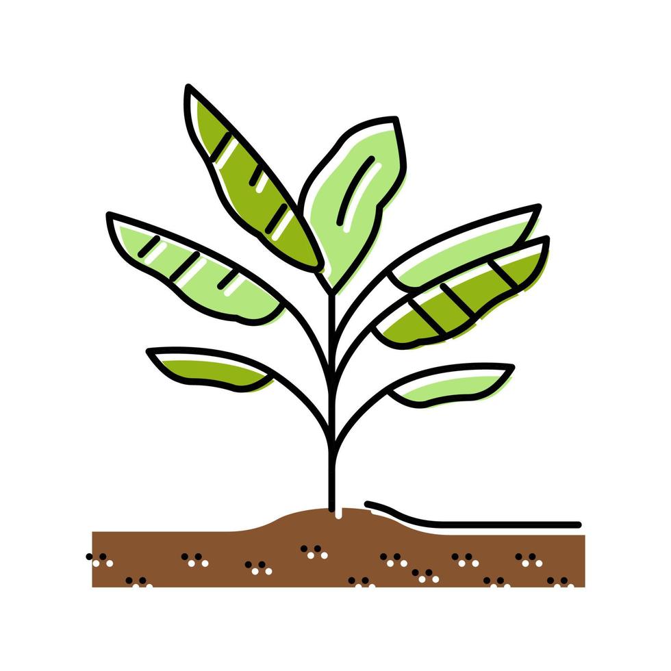 plant banana color icon vector illustration