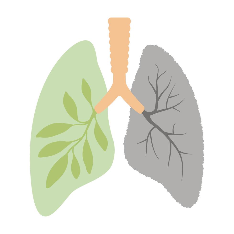 Lungs with green leaves isolated on white background vector