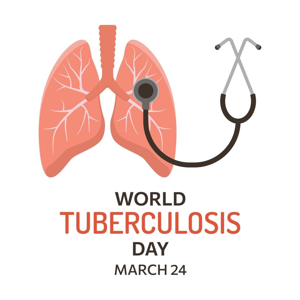 Human lungs and stethoscope isolated on white background. vector