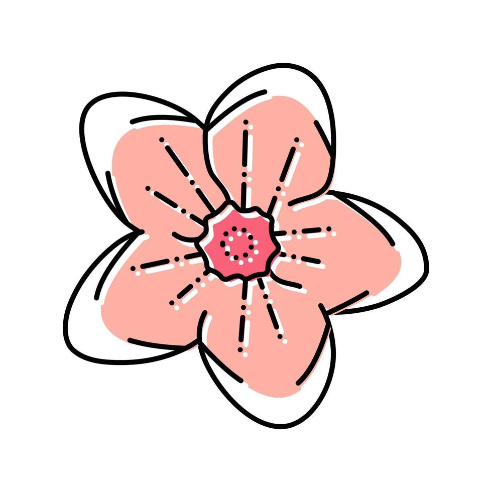 sakura cherry flower spring color icon vector illustration