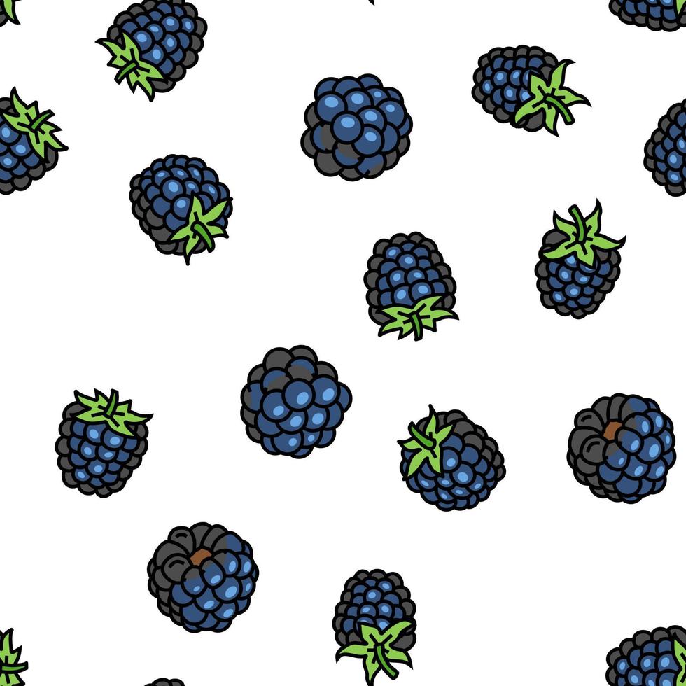 blackberry fruit berry black food vector seamless pattern