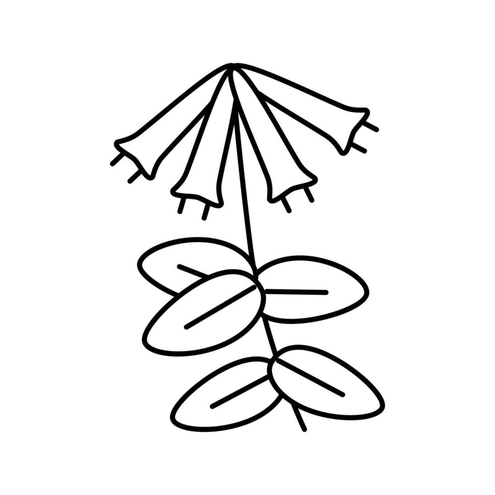 ilustración de vector de icono de línea de liana de madreselva