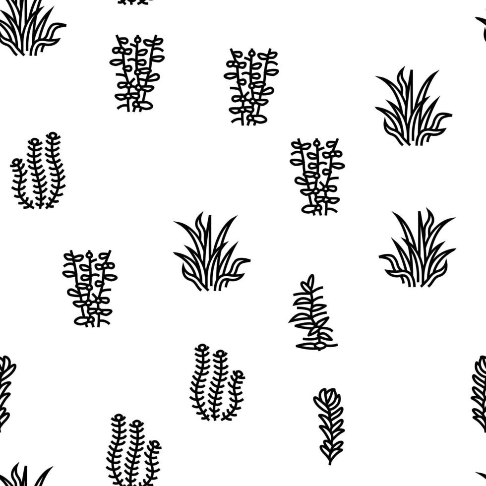 Aquatic Seaweed Natural Plant vector seamless pattern