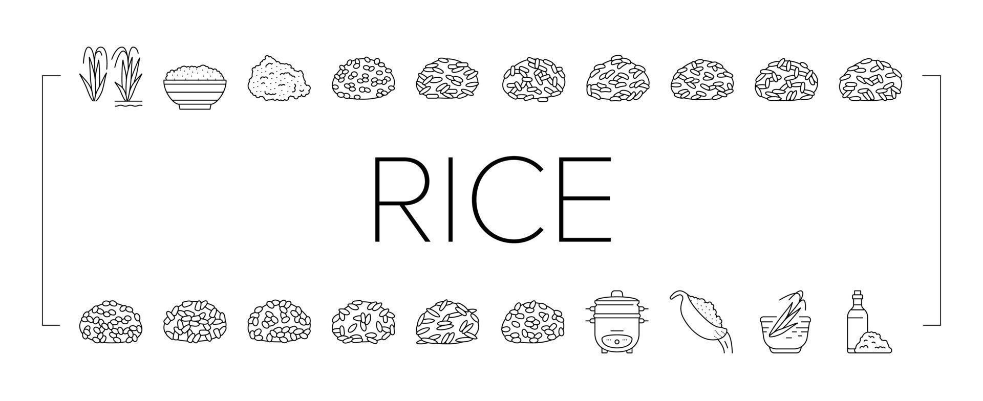 Rice For Preparing Delicious Food Icons Set Vector