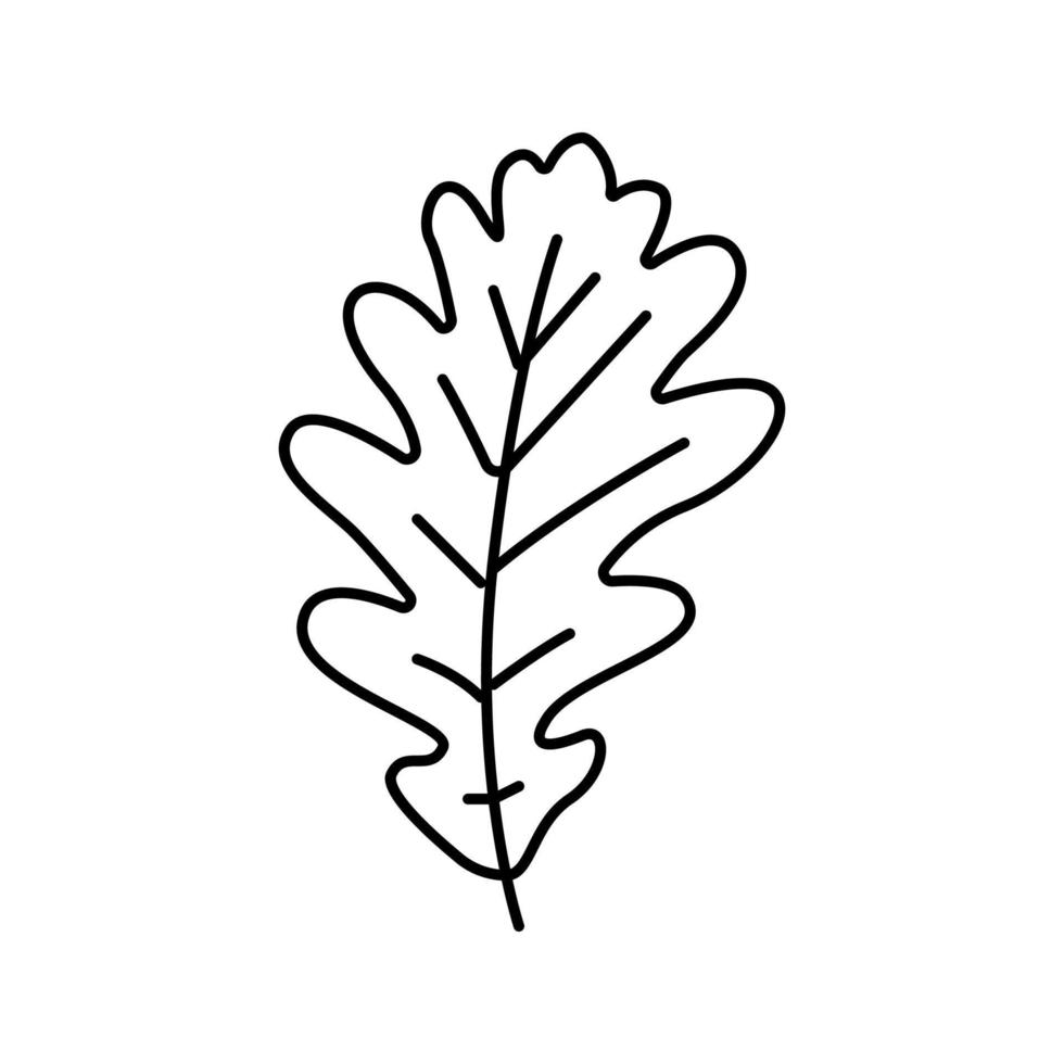 oak tree leaf line icon vector illustration