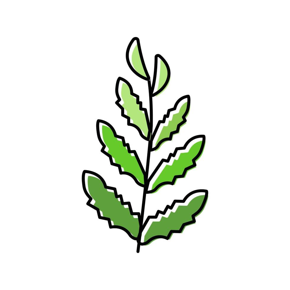 Ilustración de vector de icono de color de helecho de agua africana