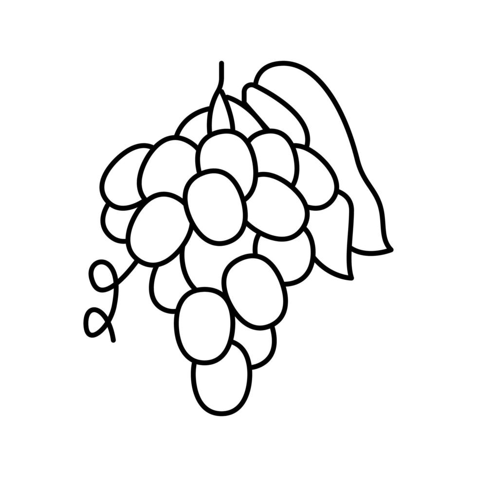 grape juice berry line icon vector illustration