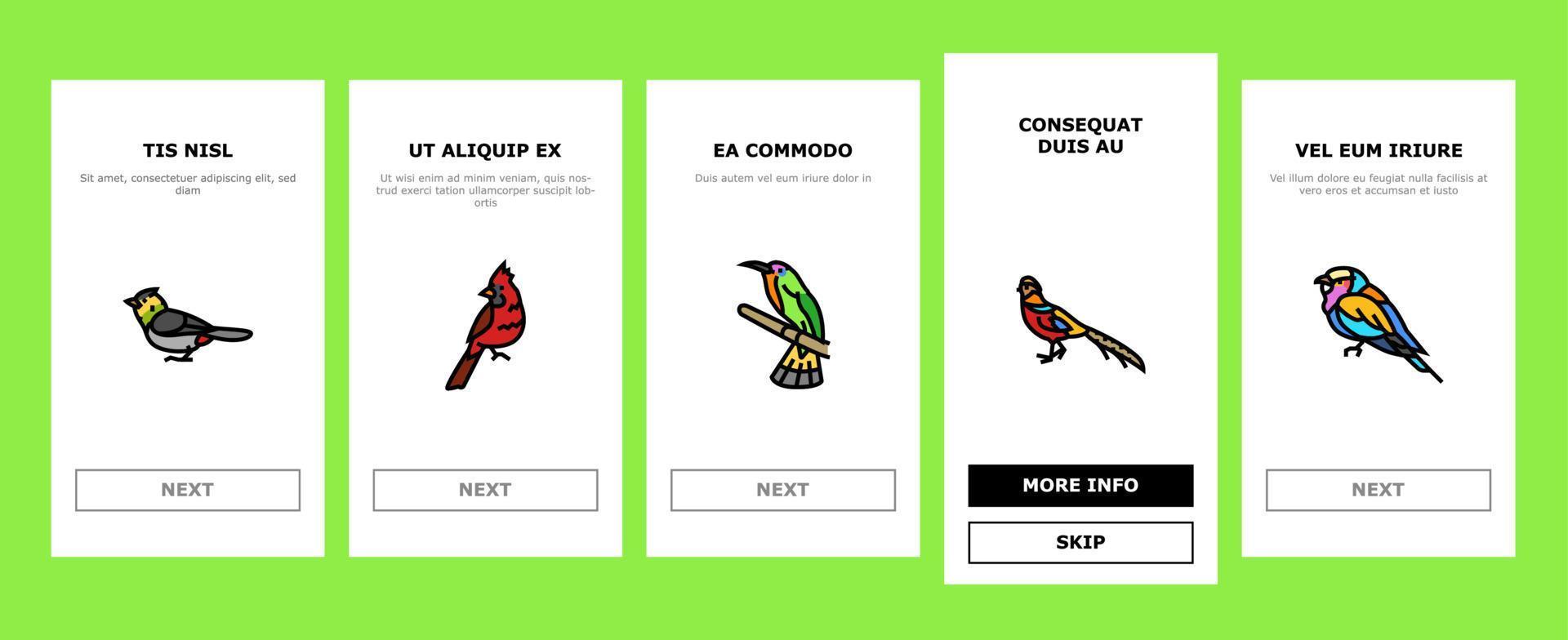 bird exotic animal nature wild onboarding icons set vector