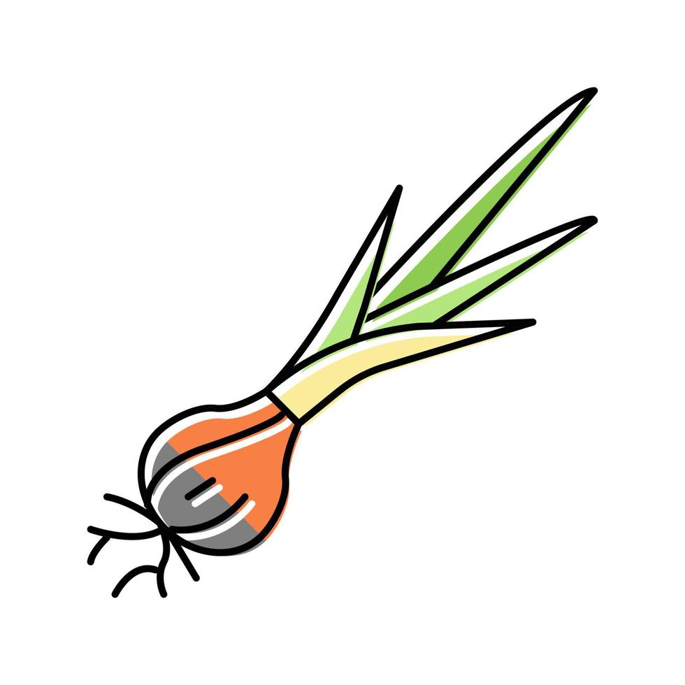 ilustración de vector de icono de color de cebolla natural de planta