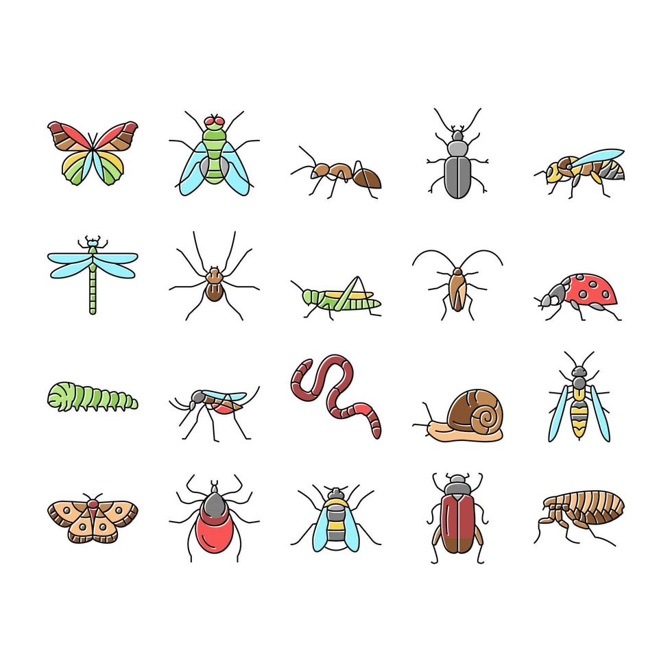 Insect, Spider And Bug Wildlife Icons Set Vector