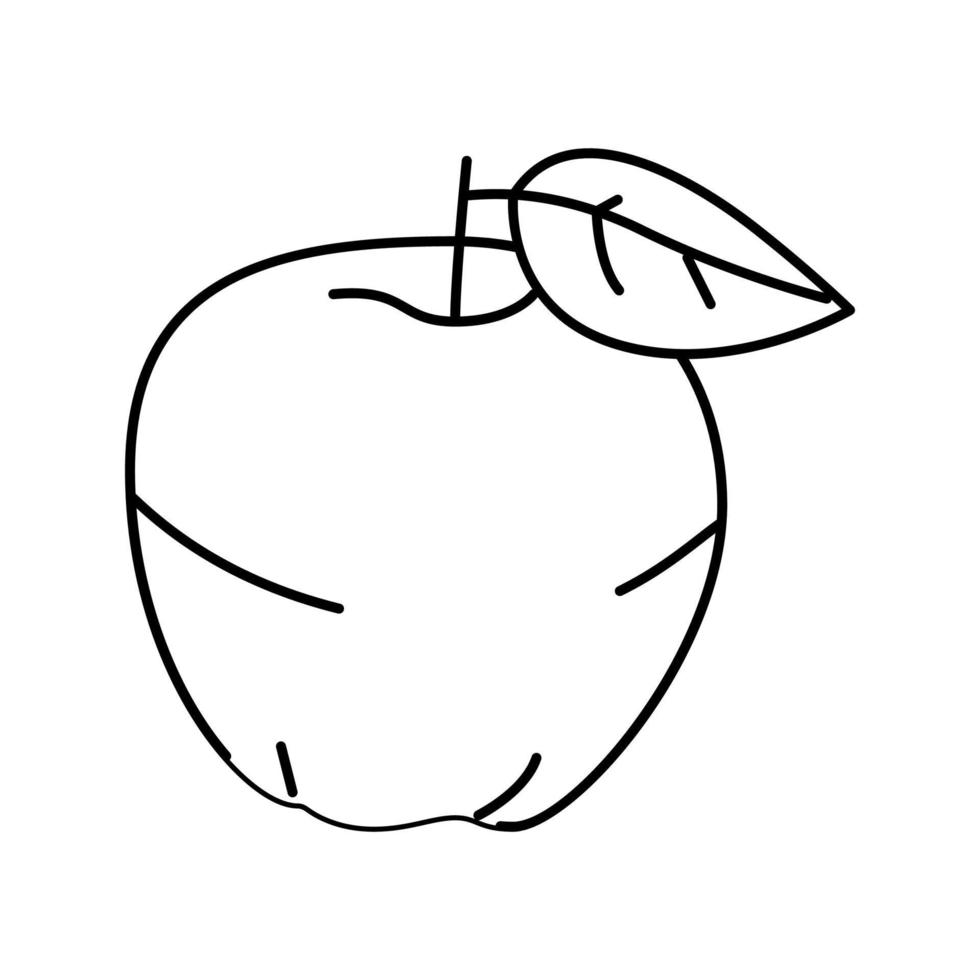 manzana roja fruta hoja línea icono vector ilustración