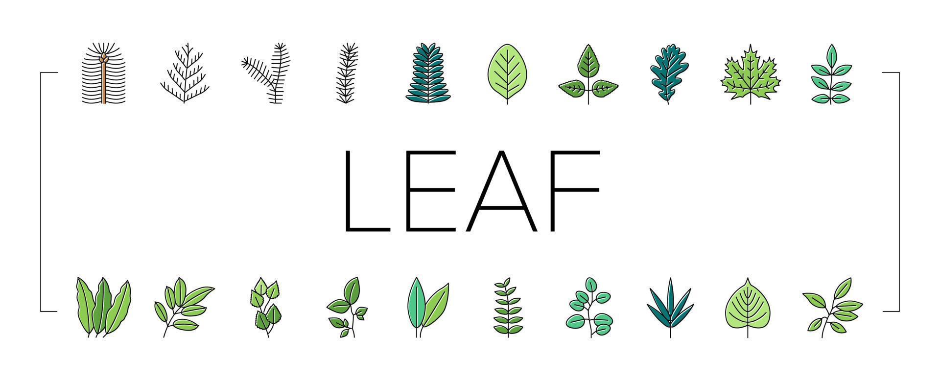 Leaf Of Tree, Bush Or Flower Icons Set Vector