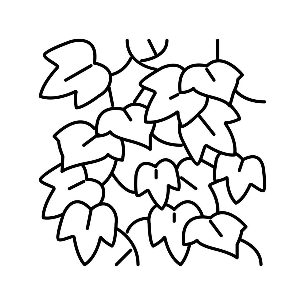 ilustración de vector de icono de línea de hiedra inglesa