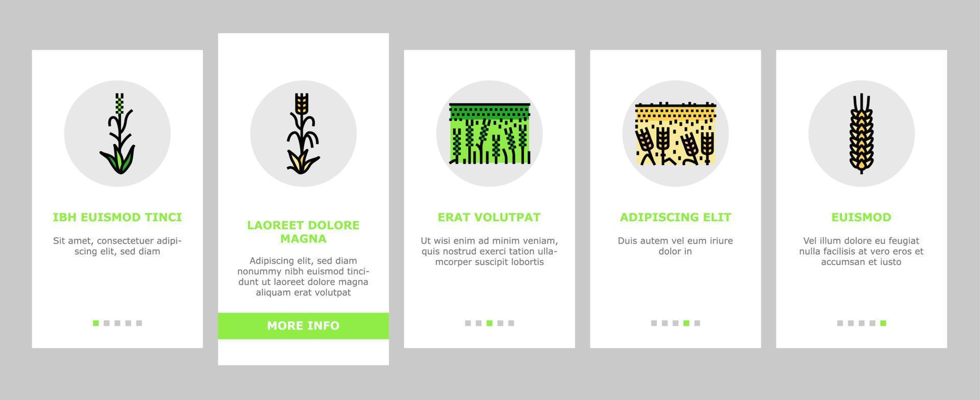 barley cereal grain harvest onboarding icons set vector