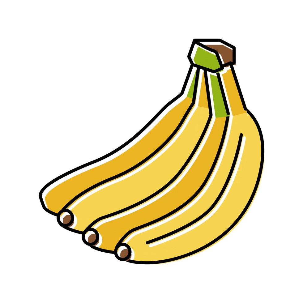 Ilustración de vector de icono de color de plátano de racimo