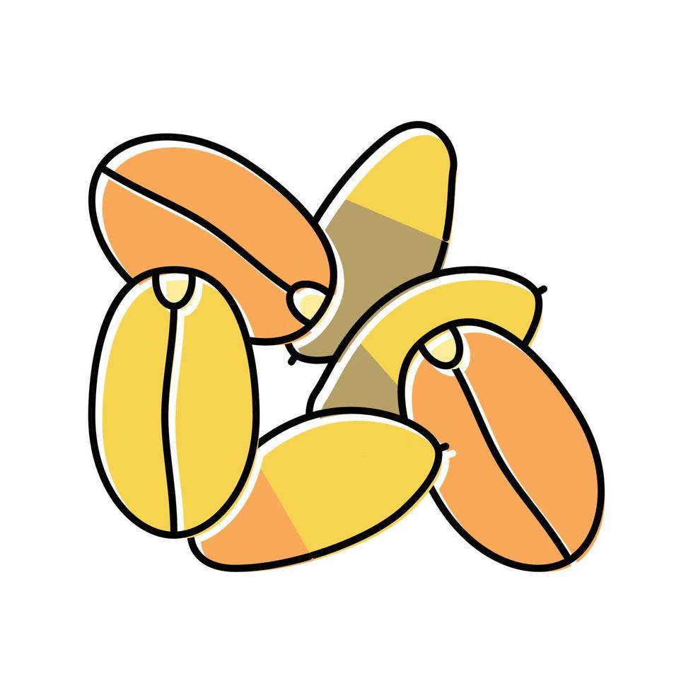 ilustración de vector de icono de color de semilla de espelta