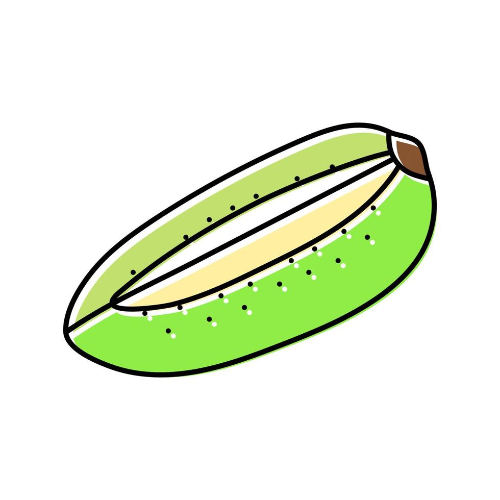 corte verde kiwi color icono vector ilustración