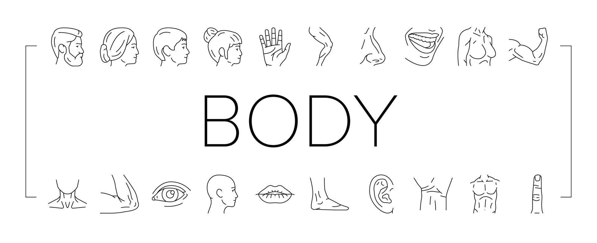 conjunto de iconos de partes de personas corporales y faciales vector