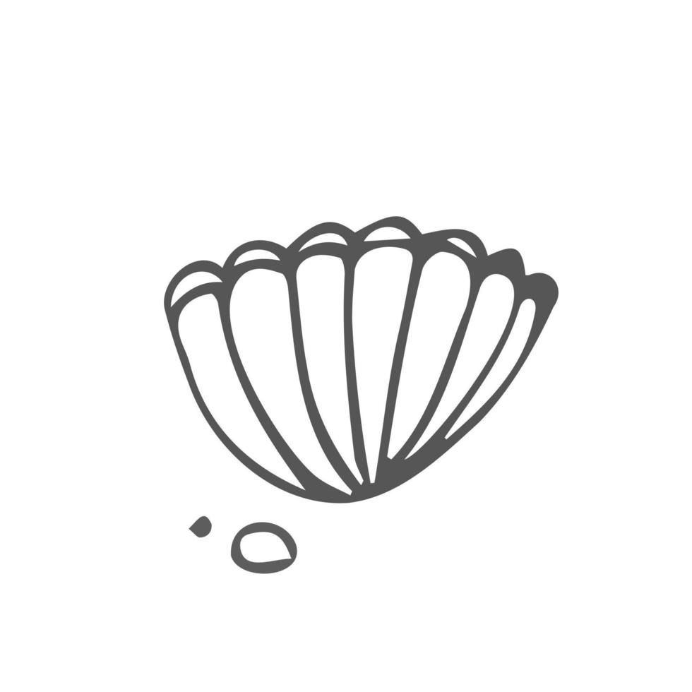 Sea shells outline illustration collection. Isolated hand drawn shell silhouette set. vector