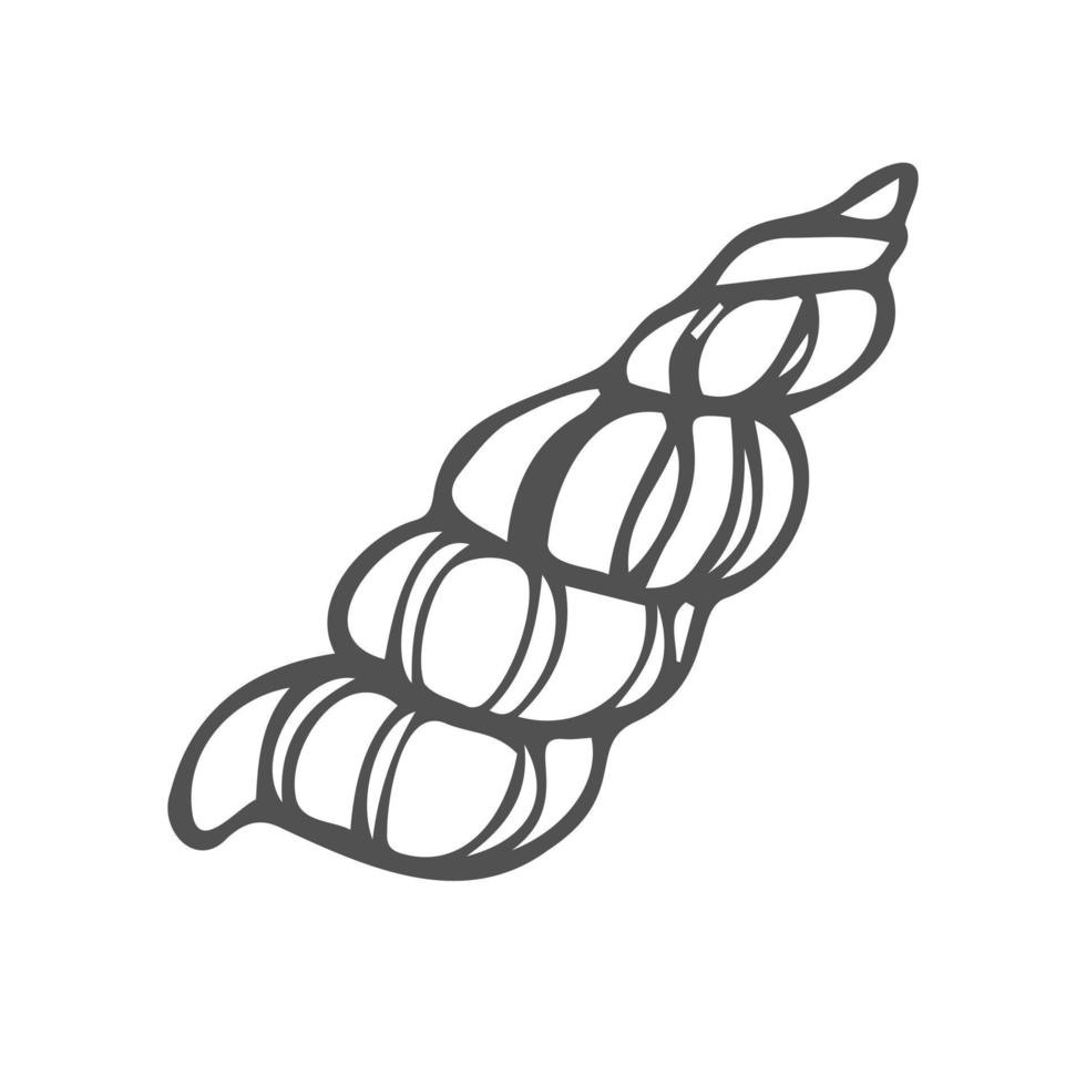 Sea shells outline illustration collection. Isolated hand drawn shell silhouette set. vector