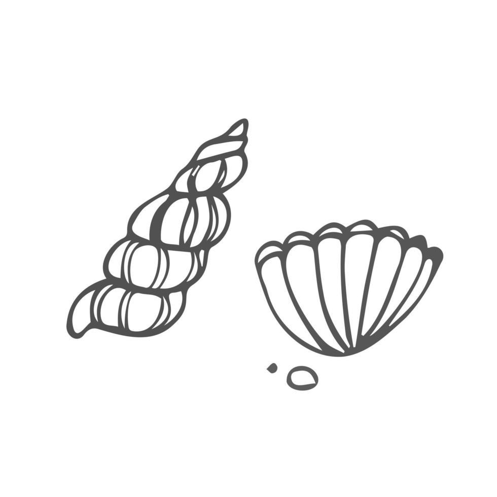 Sea shells outline illustration collection. Isolated hand drawn shell silhouette set. vector