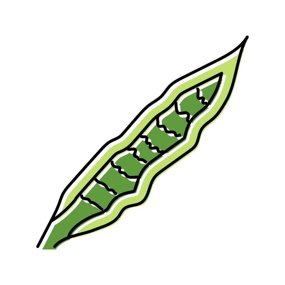 sansevieria tropical leaf color icon vector illustration