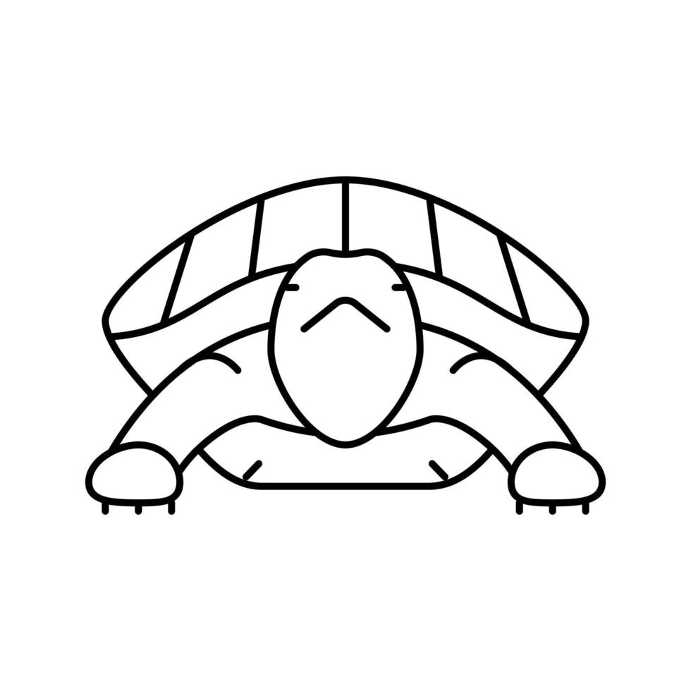 turtle tropical line icon vector illustration