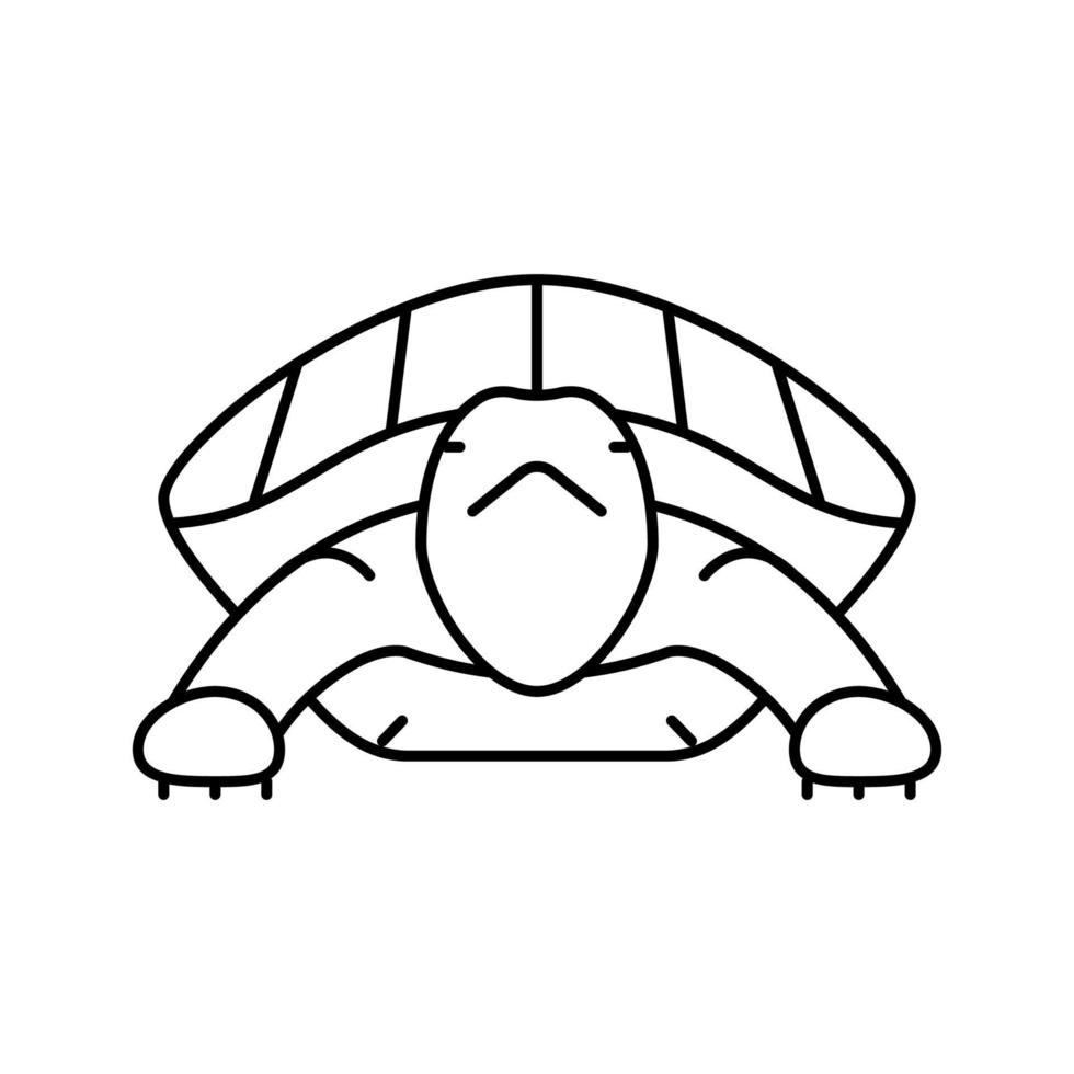 tortuga tropical línea icono vector ilustración