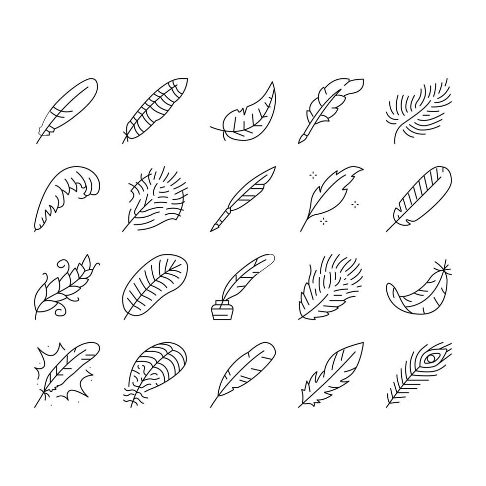 feather bird soft quil fluffy icons set vector