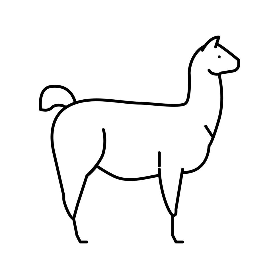 lama animal salvaje línea icono vector ilustración